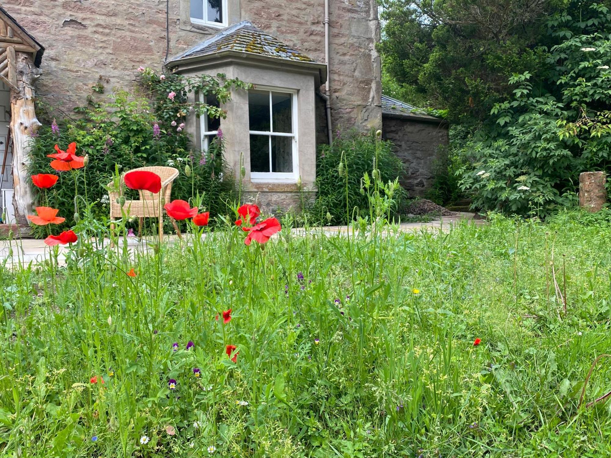 Bed and Breakfast Organic Welltree Saint Martins  Exteriér fotografie